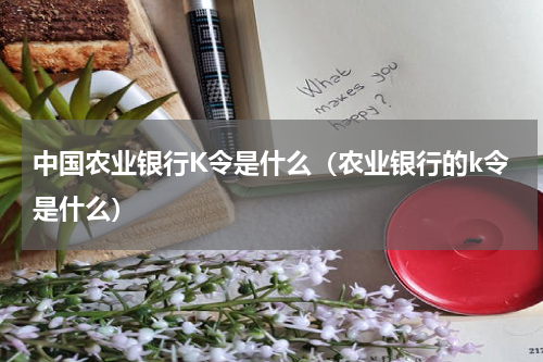中国农业银行K令是什么（农业银行的k令是什么）
