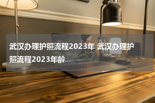 武汉办理护照流程2023年 武汉办理护照流程2023年龄