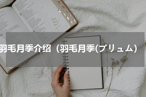 羽毛月季介绍（羽毛月季(プリュム）