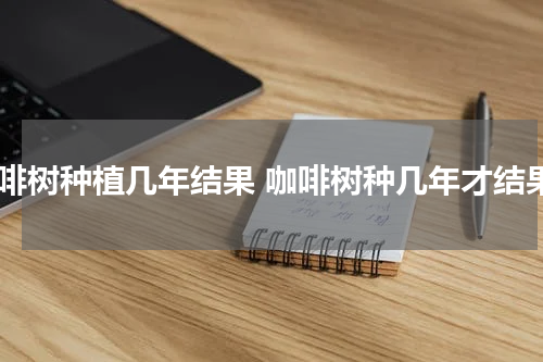 咖啡树种植几年结果 咖啡树种几年才结果