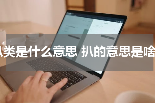 扒类是什么意思 扒的意思是啥