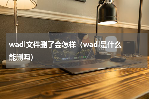 wadl文件删了会怎样（wadl是什么能删吗）
