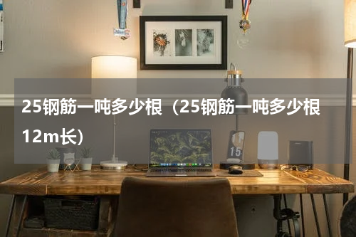 25钢筋一吨多少根（25钢筋一吨多少根12m长）