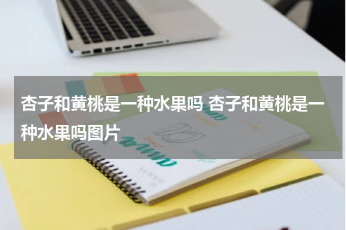 杏子和黄桃是一种水果吗 杏子和黄桃是一种水果吗图片