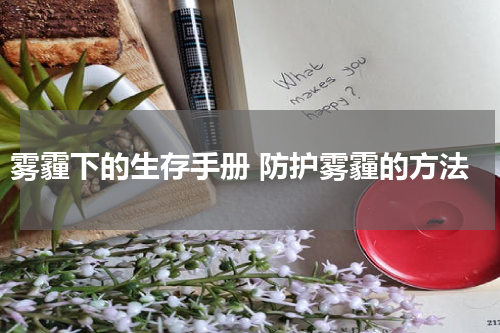 雾霾下的生存手册 防护雾霾的方法