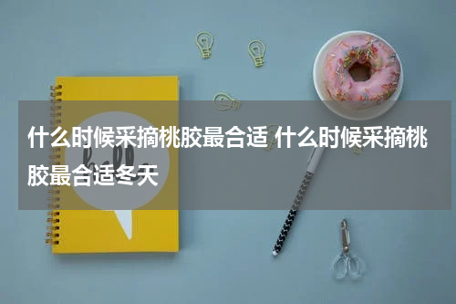 什么时候采摘桃胶最合适 什么时候采摘桃胶最合适冬天