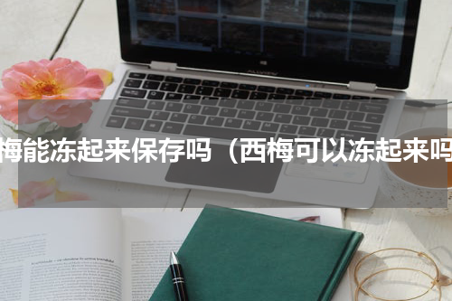 西梅能冻起来保存吗（西梅可以冻起来吗）