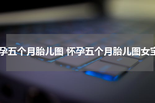 怀孕五个月胎儿图 怀孕五个月胎儿图女宝