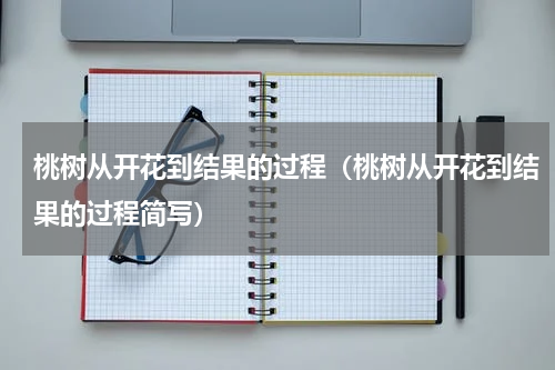桃树从开花到结果的过程（桃树从开花到结果的过程简写）