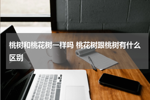 桃树和桃花树一样吗 桃花树跟桃树有什么区别