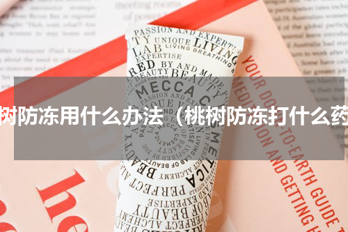 桃树防冻用什么办法（桃树防冻打什么药）