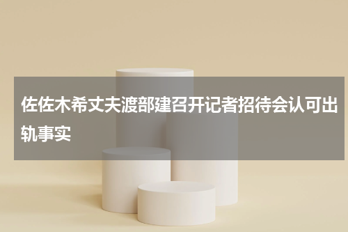 佐佐木希丈夫渡部建召开记者招待会认可出轨事实