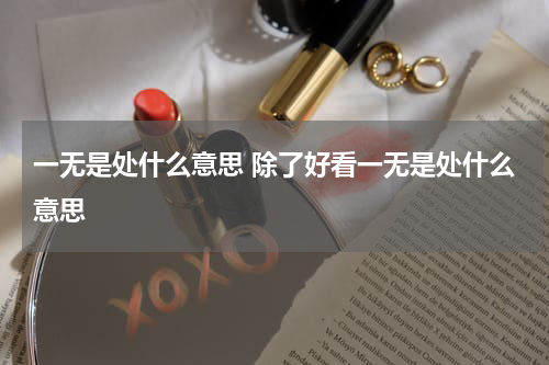 一无是处什么意思 除了好看一无是处什么意思