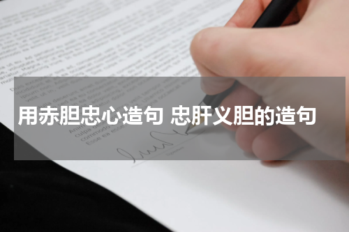 用赤胆忠心造句 忠肝义胆的造句