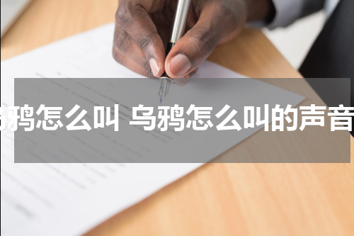 乌鸦怎么叫 乌鸦怎么叫的声音