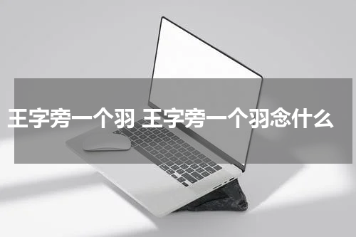 王字旁一个羽 王字旁一个羽念什么