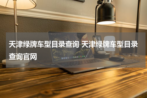 天津绿牌车型目录查询 天津绿牌车型目录查询官网