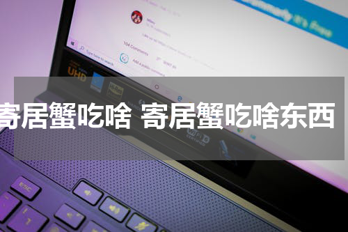 寄居蟹吃啥 寄居蟹吃啥东西