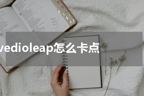 vedioleap怎么卡点
