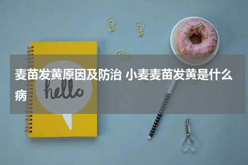 麦苗发黄原因及防治 小麦麦苗发黄是什么病