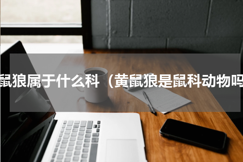 黄鼠狼属于什么科（黄鼠狼是鼠科动物吗）