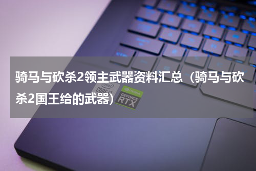 骑马与砍杀2领主武器资料汇总（骑马与砍杀2国王给的武器）