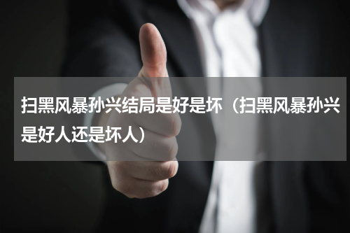 扫黑风暴孙兴结局是好是坏（扫黑风暴孙兴是好人还是坏人）