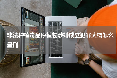 非法种植毒品原植物涉嫌成立犯罪大概怎么量刑