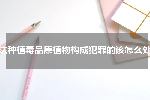 非法种植毒品原植物构成犯罪的该怎么处罚