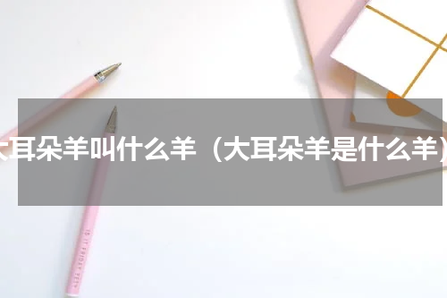 大耳朵羊叫什么羊（大耳朵羊是什么羊）