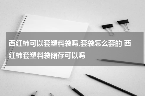 西红柿可以套塑料袋吗,套袋怎么套的 西红柿套塑料袋储存可以吗