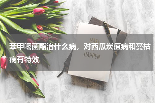 苯甲嘧菌酯治什么病，对西瓜炭疽病和蔓枯病有特效