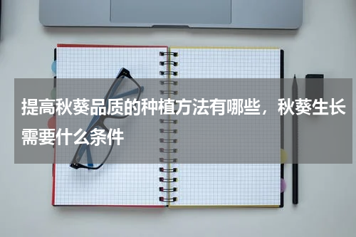 提高秋葵品质的种植方法有哪些，秋葵生长需要什么条件