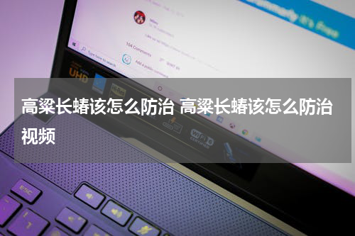 高粱长蝽该怎么防治 高粱长蝽该怎么防治视频