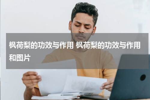 枫荷梨的功效与作用 枫荷梨的功效与作用和图片