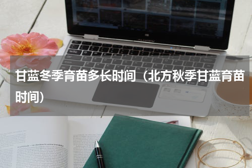 甘蓝冬季育苗多长时间（北方秋季甘蓝育苗时间）