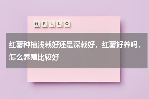 红薯种植浅栽好还是深栽好，红薯好养吗，怎么养殖比较好