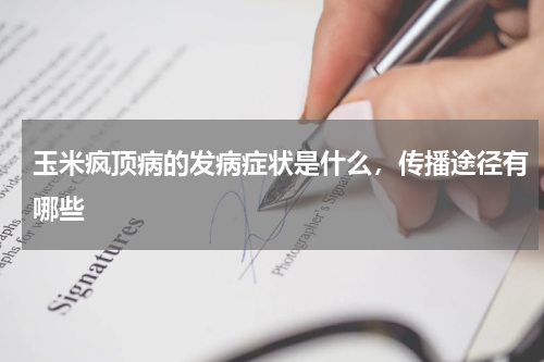 玉米疯顶病的发病症状是什么，传播途径有哪些