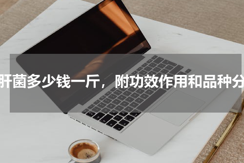 牛肝菌多少钱一斤，附功效作用和品种分类