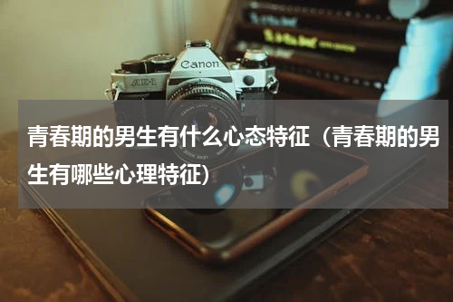 青春期的男生有什么心态特征（青春期的男生有哪些心理特征）