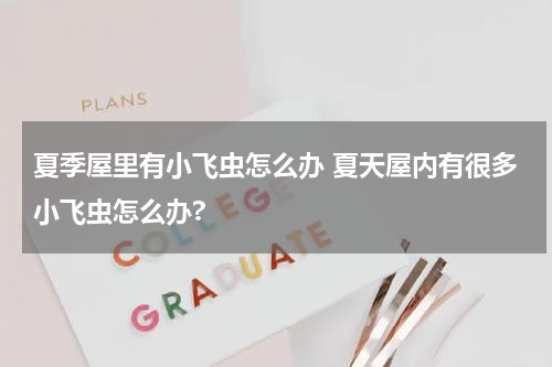 夏季屋里有小飞虫怎么办 夏天屋内有很多小飞虫怎么办?