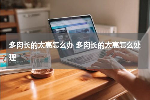 多肉长的太高怎么办 多肉长的太高怎么处理