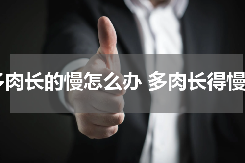 多肉长的慢怎么办 多肉长得慢