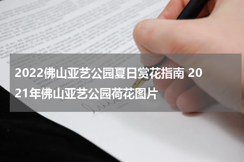 2022佛山亚艺公园夏日赏花指南 2021年佛山亚艺公园荷花图片