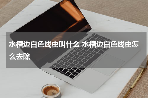 水槽边白色线虫叫什么 水槽边白色线虫怎么去除