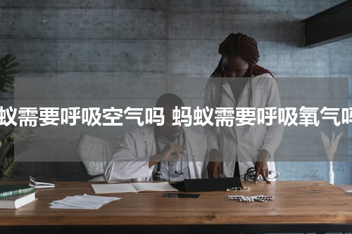 蚂蚁需要呼吸空气吗 蚂蚁需要呼吸氧气吗