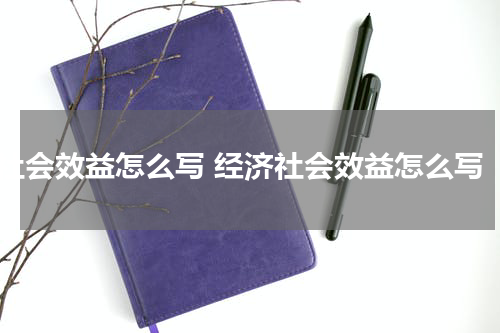 社会效益怎么写 经济社会效益怎么写