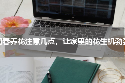 初春养花注意几点，让家里的花生机勃勃