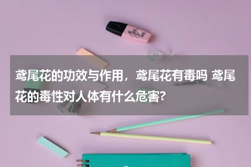 鸢尾花的功效与作用，鸢尾花有毒吗 鸢尾花的毒性对人体有什么危害?