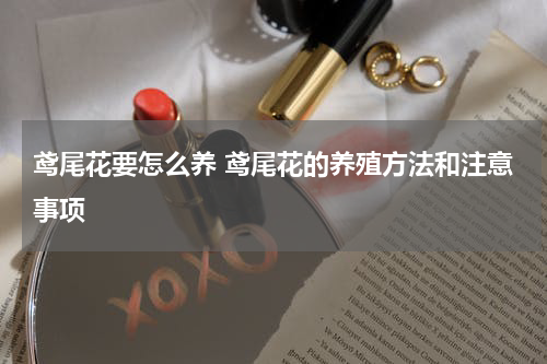 鸢尾花要怎么养 鸢尾花的养殖方法和注意事项